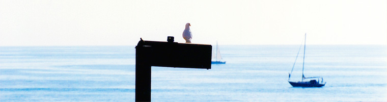 ��ЃC���[�W�摜